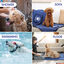 Nobleza Toalla para Perros, Toallas Suaves y Duraderas, Ultra Absorbente, Toalla de Secado para Perros Grandes y Pequeños, , large indicador imagen numero 5