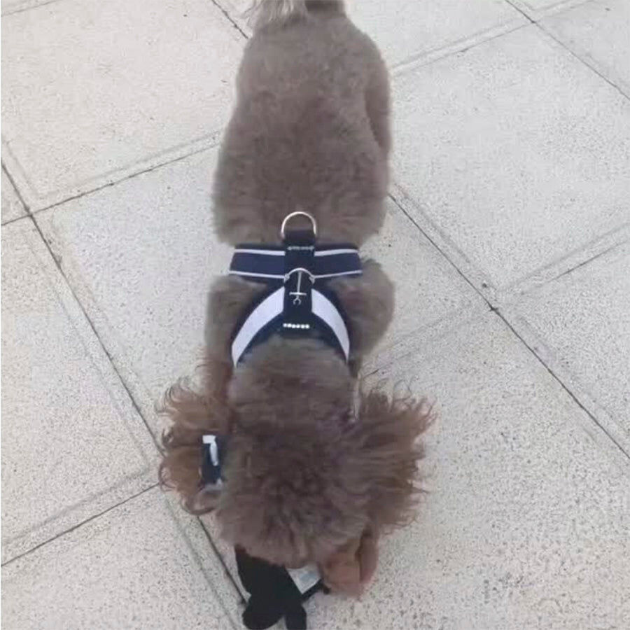 Ideal Pets, Arnes para perros, modelo Nautica &Eacute;l, , large Imagen numero 3