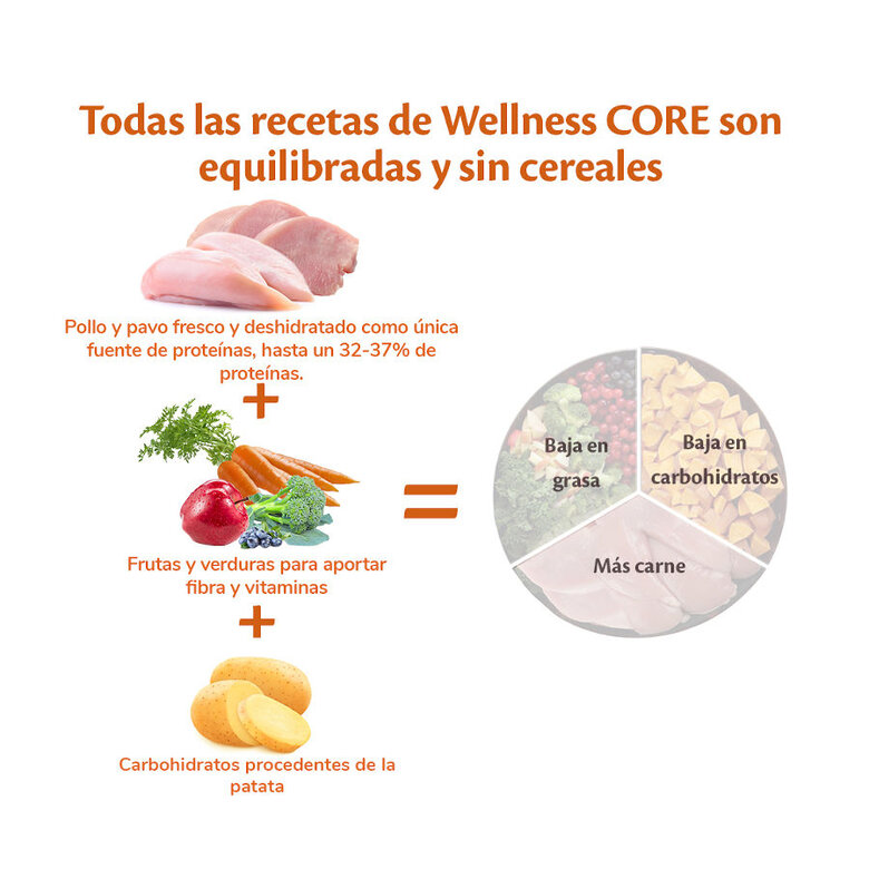 Wellness Core Senior Pollo y Pavo pienso para perros, , large image number null