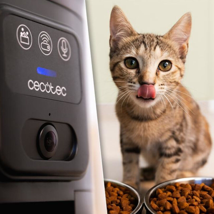 Cecotec Pumba 8600 Comedero autom&aacute;tico para gatos y perros, , large Imagen numero 4
