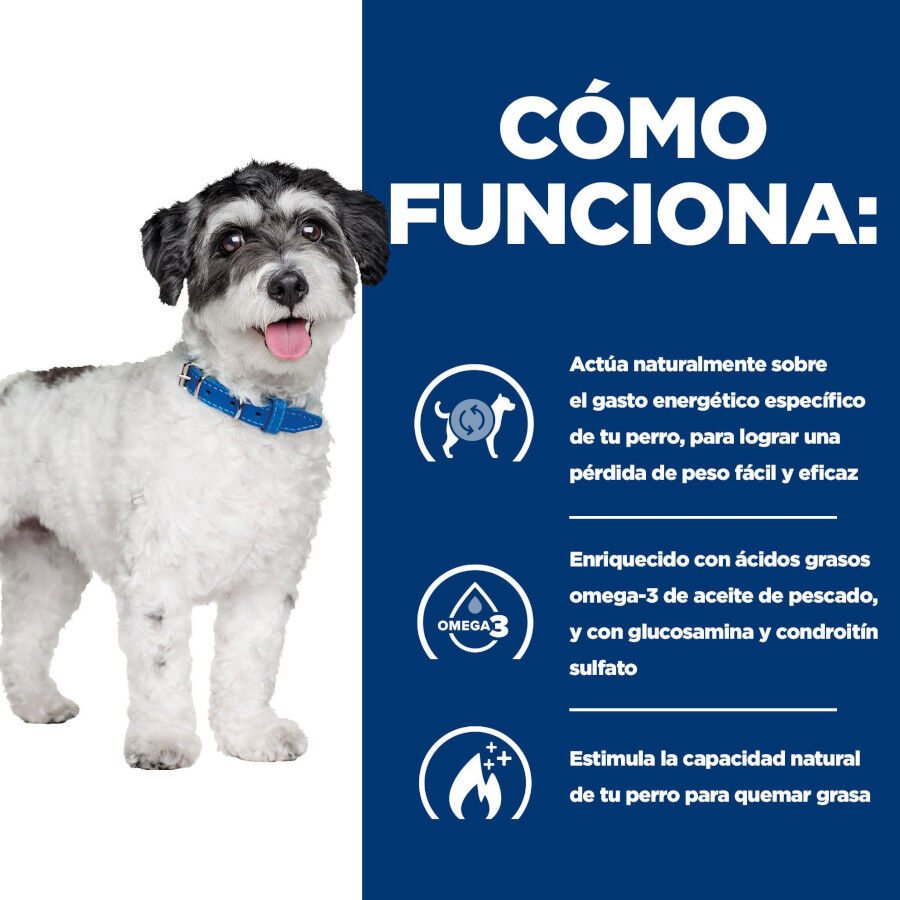 2 x 6 kg Hill's Prescription Diet Metabolic + Mobility Mini j/d pienso para perros &iexcl;Pack ahorro!, , large Imagen numero 5