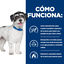 2 x 6 kg Hill's Prescription Diet Metabolic + Mobility Mini j/d pienso para perros &iexcl;Pack ahorro!, , large indicador imagen numero 5
