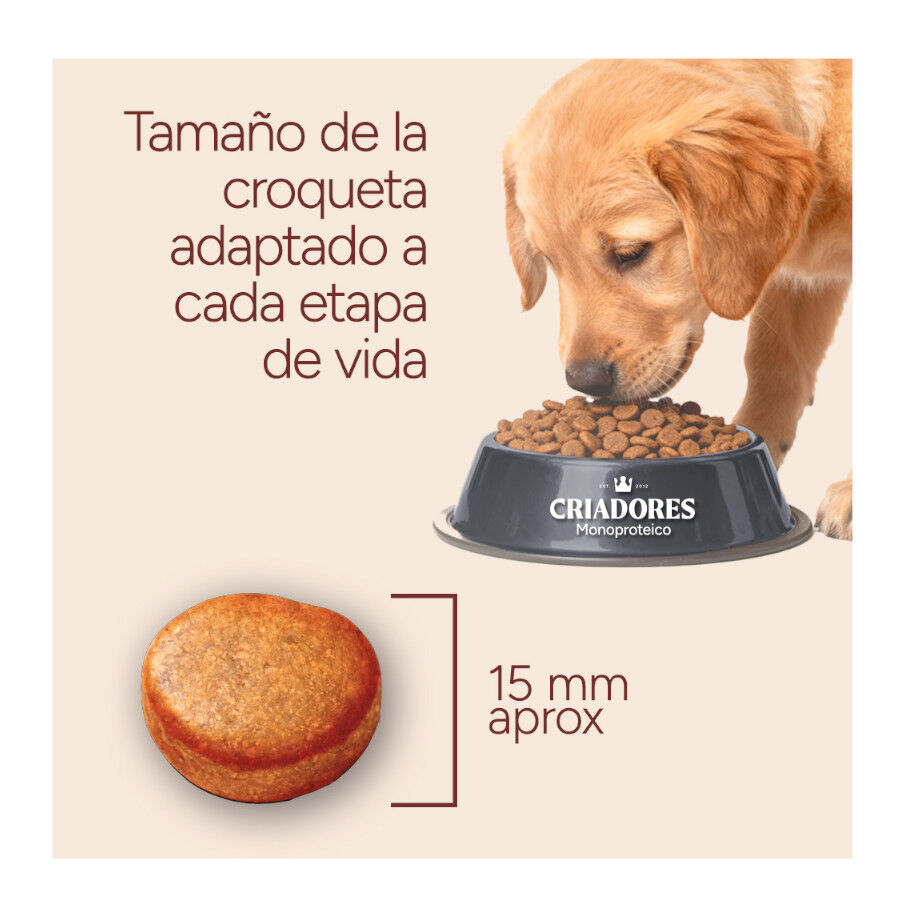 10 kg Criadores Monoproteico Adulto con Pollo pienso para perros, , large Imagen numero 8