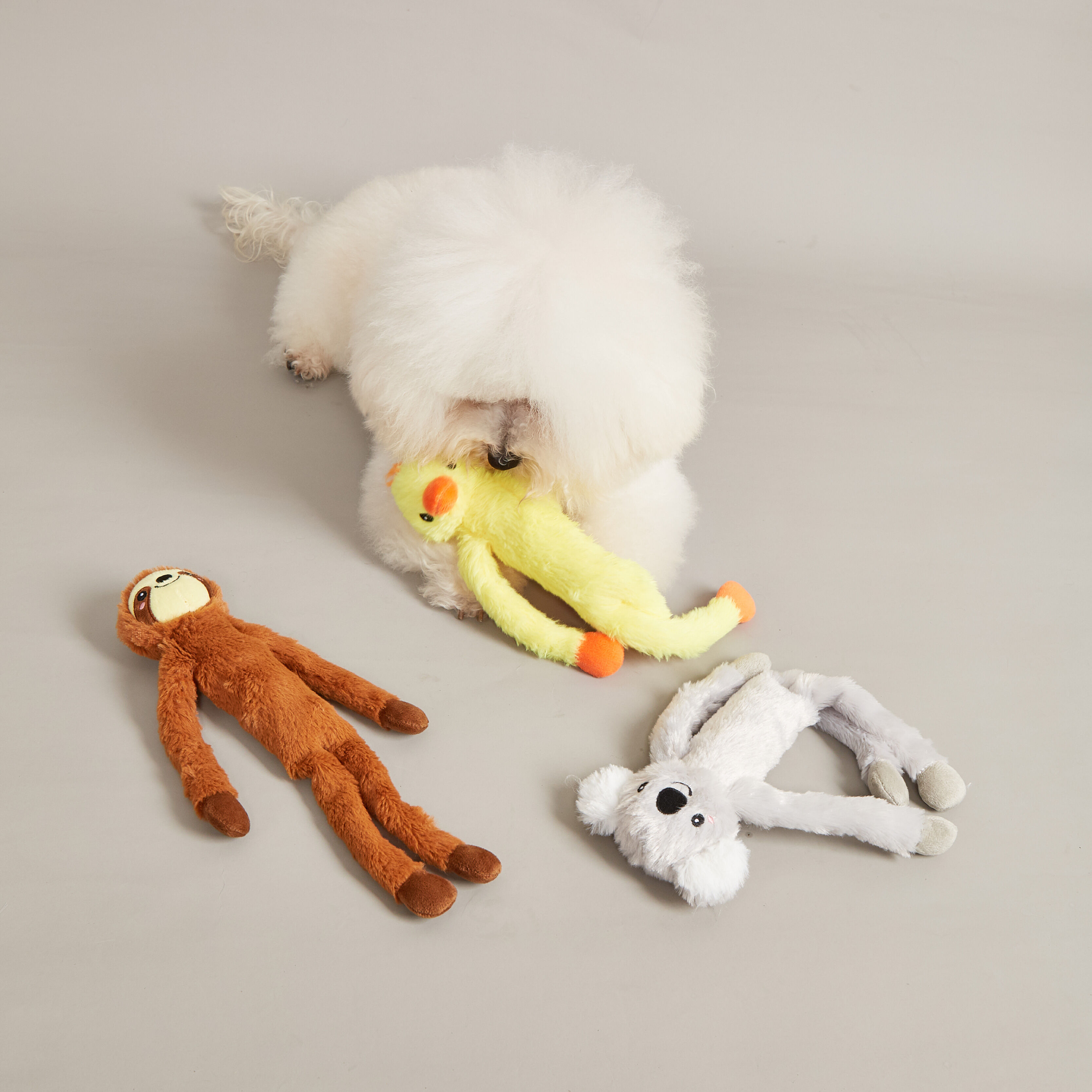 Juguetes para Perro con Sonido &ndash; Pack 2 (Pato + Koala), , large Imagen numero 2