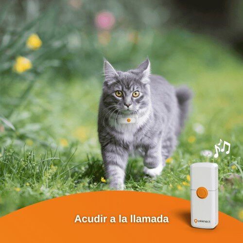 Localizador Weenect GPS Cats&sup2; para gatos, , large Imagen numero 3
