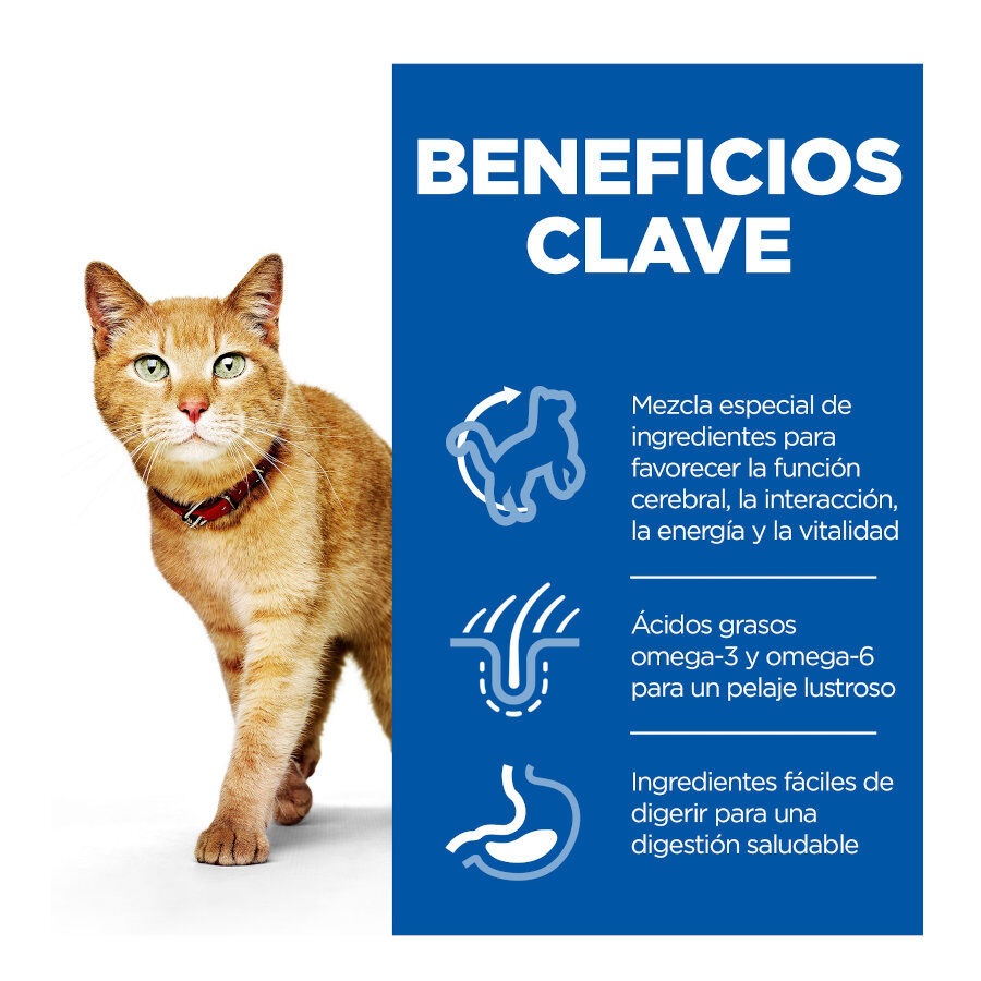 12 sobres x 85 g Hill's Science Plan Senior Vitality Pollo y Salm&oacute;n Sobre en salsa para gatos, , large Imagen numero 2