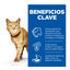 12 sobres x 85 g Hill's Science Plan Senior Vitality Pollo y Salm&oacute;n Sobre en salsa para gatos, , large indicador imagen numero 2