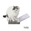 Leeby Lily rascador de cartón en forma de ordenador para gatos, , large indicador imagen numero 2