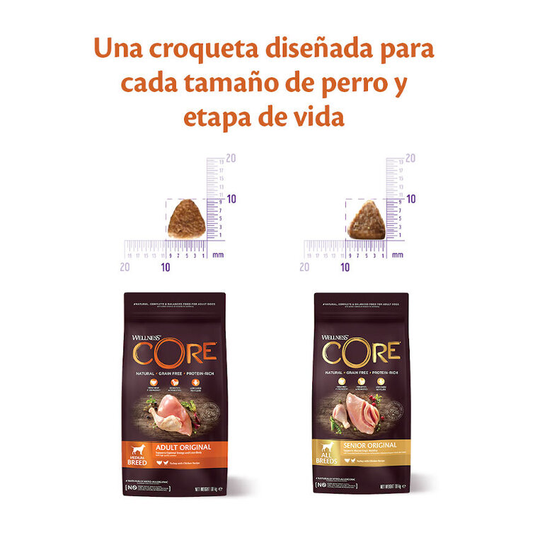 Wellness Core Senior Pollo y Pavo pienso para perros, , large image number null