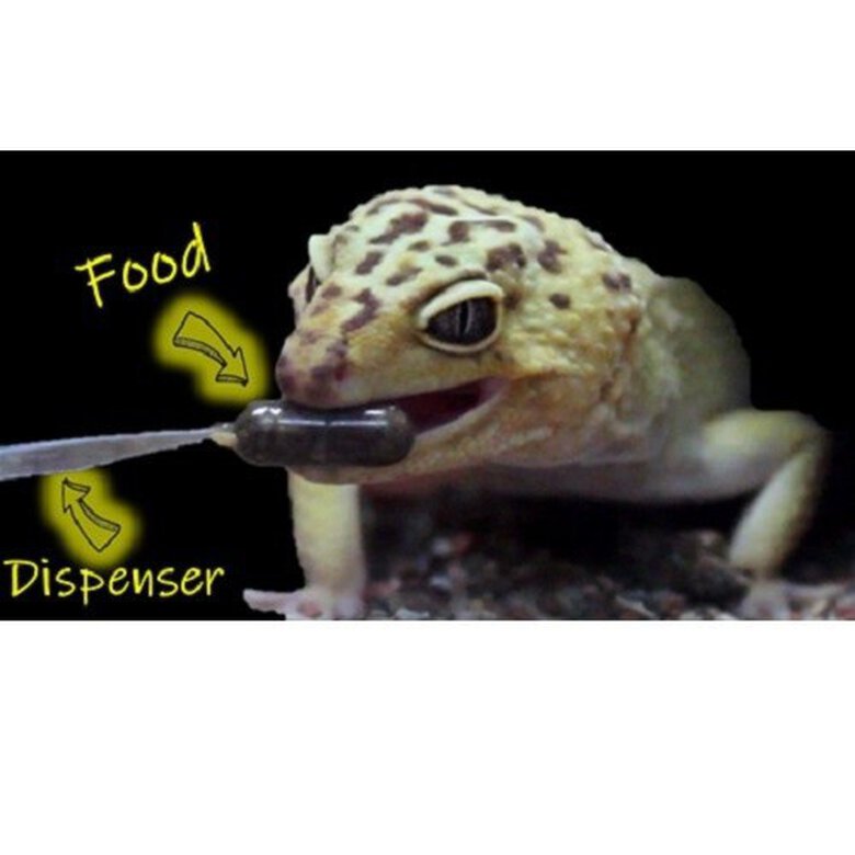 Alimento Movebite para geko leopardo y pogona sabor Tenebrio, , large image number null