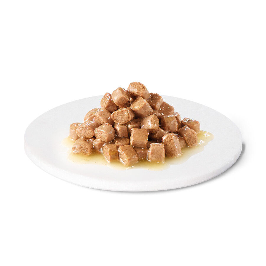 Advance Renal Pollo y Cerdo sobre para gatos thumbnail