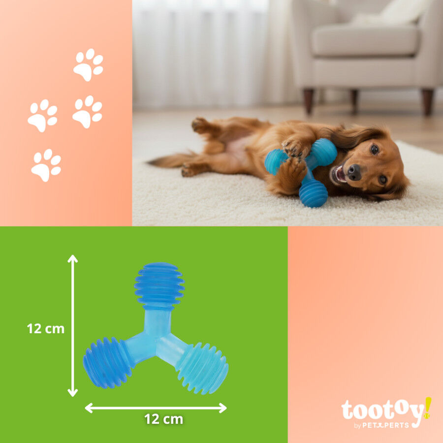 Tootoy! Mordedor de Pelotas en Tri&aacute;ngulo Azul para perros, , large Imagen numero 4