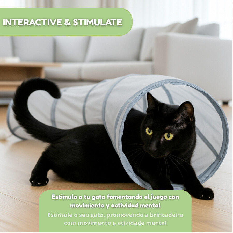 Tootoy! Tunel de Tela con Juguete para gatos, , large Imagen numero 5