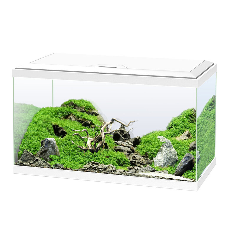 Ciano Aqua Led 60 Blanco acuario con luz led, filtro y calentador