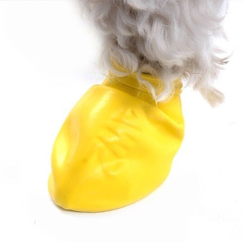 Botas de caucho natural Pawz para perro color Amarillo, , large image number null