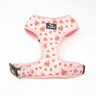 CandyPet Arnés Ajustable para perros