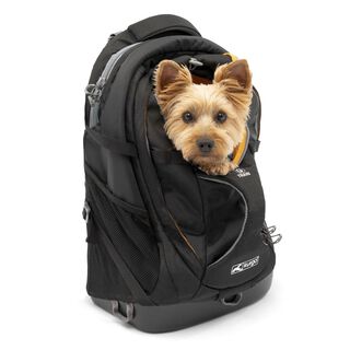 Kurgo Mochila de tela negra para perros