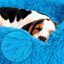 EL ÁTICO PETS Cama Perro Mediano y Pequeño. Cama para Perros. Cojin Resistente y Lavable. Cama de Pelo Largo para Gatos y Otras Mascotas Medianas, 70 x 70 CM, , large indicador imagen numero 2