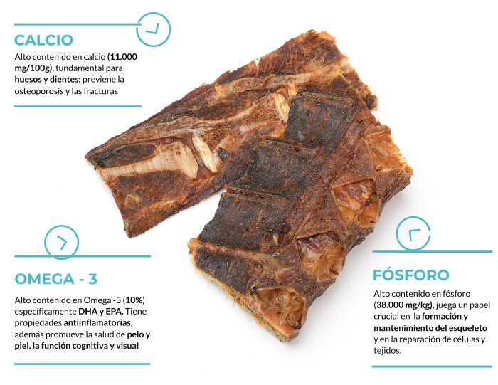 Hueso de at&uacute;n mini, , large Imagen numero 2