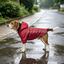 Gotoo Abrigo Impermeable Reflectante Rojo para perros, , large indicador imagen numero 1