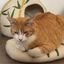 Coj&iacute;n para gato de fieltro de lana natural Bambou-Grin, , large indicador imagen numero 3