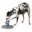 Comedero interactivo para perros color Azul, , large indicador imagen numero 5