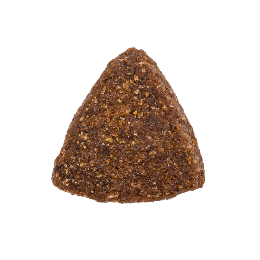 Weego Low Grain Salm&oacute;n y Arroz pienso para perros, , large Imagen numero 3