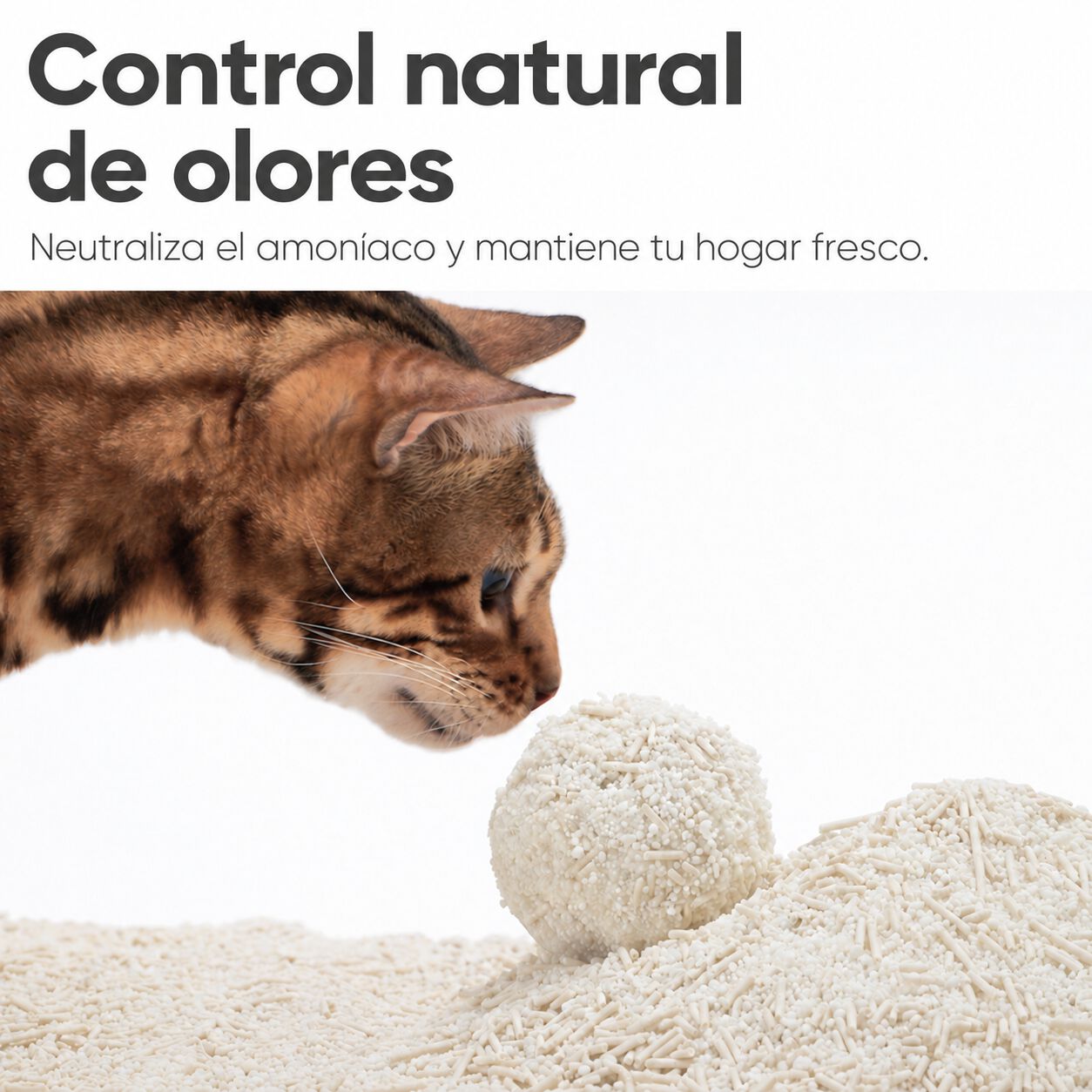 FUKUMARU Arena para Gatos Mixta de Yuca y Tofu &ndash; Aglomeraci&oacute;n R&aacute;pida y Firme, Sin Polvo, Biodegradable, Aroma Natural a Gardenia, Gr&aacute;nulo de 2 mm, , large Imagen numero 3