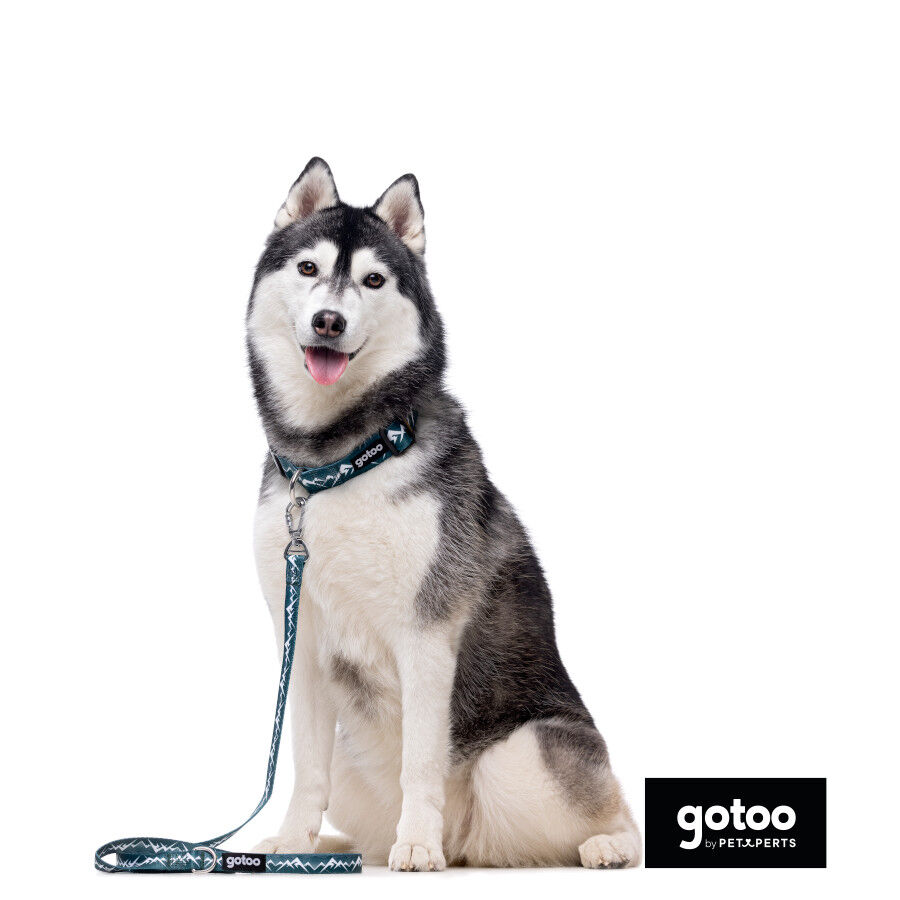 Gotoo Correa con mosquet&oacute;n de seguridad verde para perros, , large Imagen numero 3