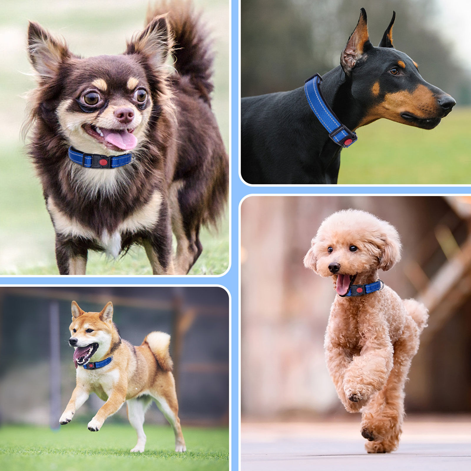 Nobleza - 2&times; Collar Perro, Collar Nylon Reflectante Suave Acolchado para Perros, Ajustable Collar Perro Peque&ntilde;o con Cerradura de Seguridad, Collares de Entrenamiento para Perros (S, Azul), , large Imagen numero 5