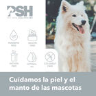 PSH CBD Fusion Champú para perros y gatos, , large image number null