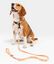 CAFIDE Collar PET Reciclado Juno, , large indicador imagen numero 2