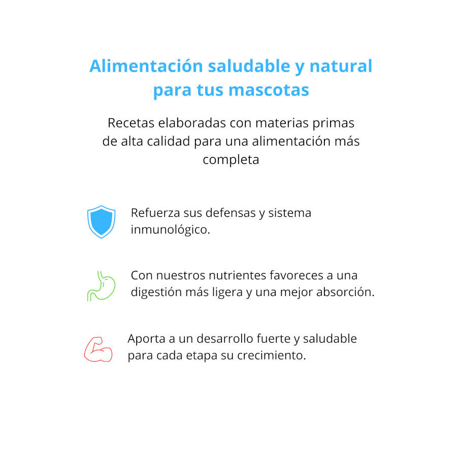 Pienso FIllip Mango para perros de pollo, fresa y patata 400gr, , large Imagen numero 3