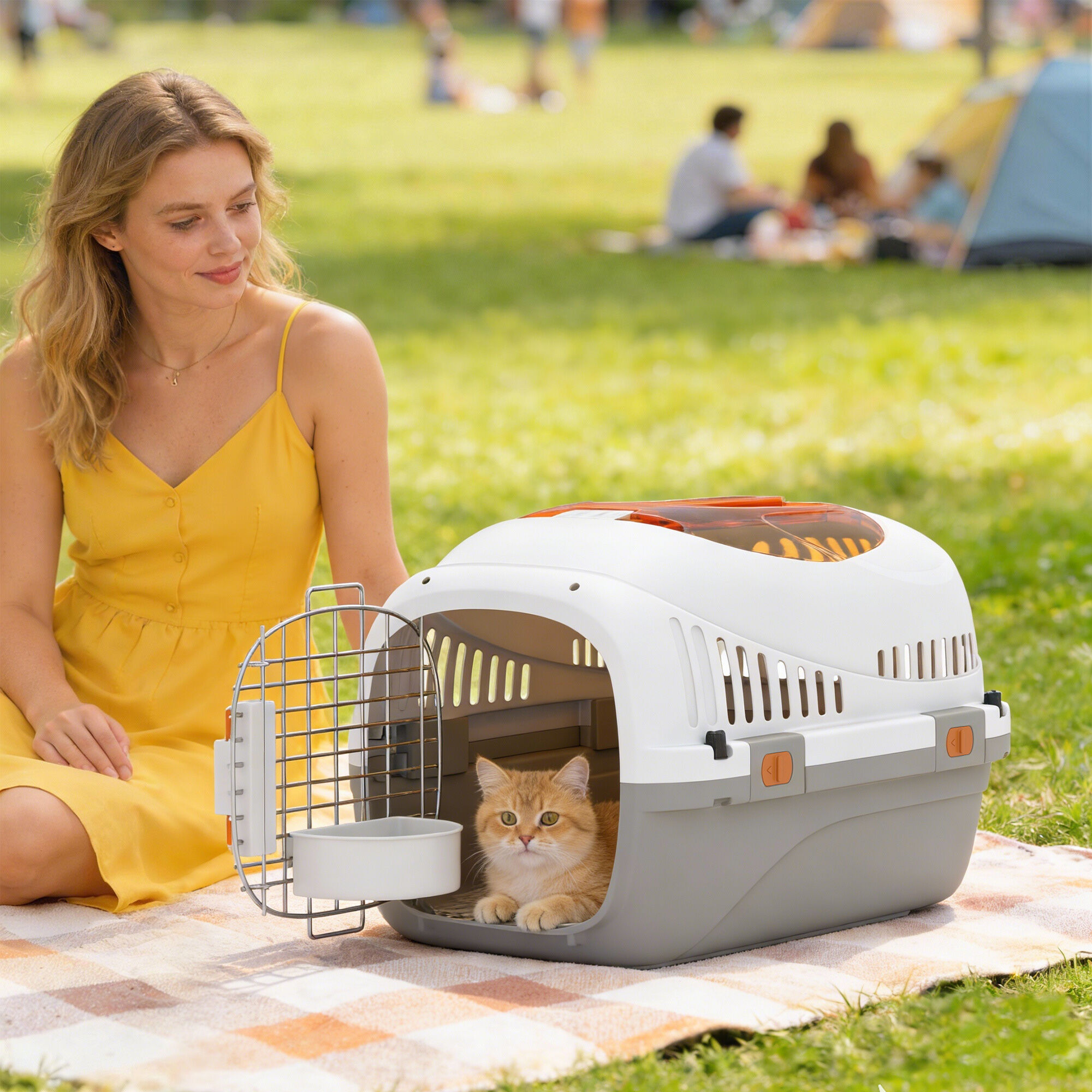 PawHut Transport&iacute;n para Mascotas Gris Claro, , large Imagen numero 2