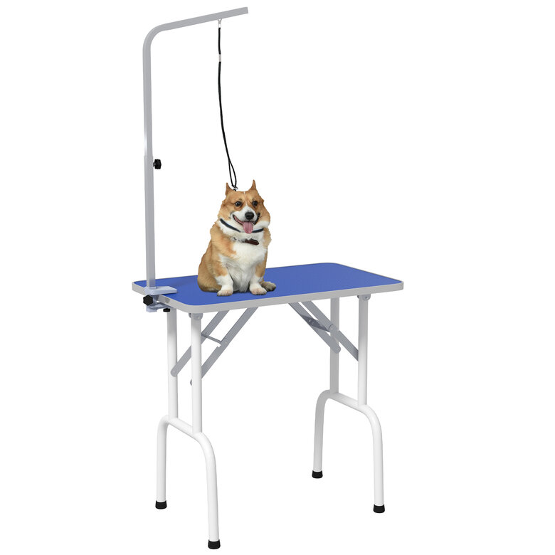 PawHut Mesa de Peluquería Azul para perros