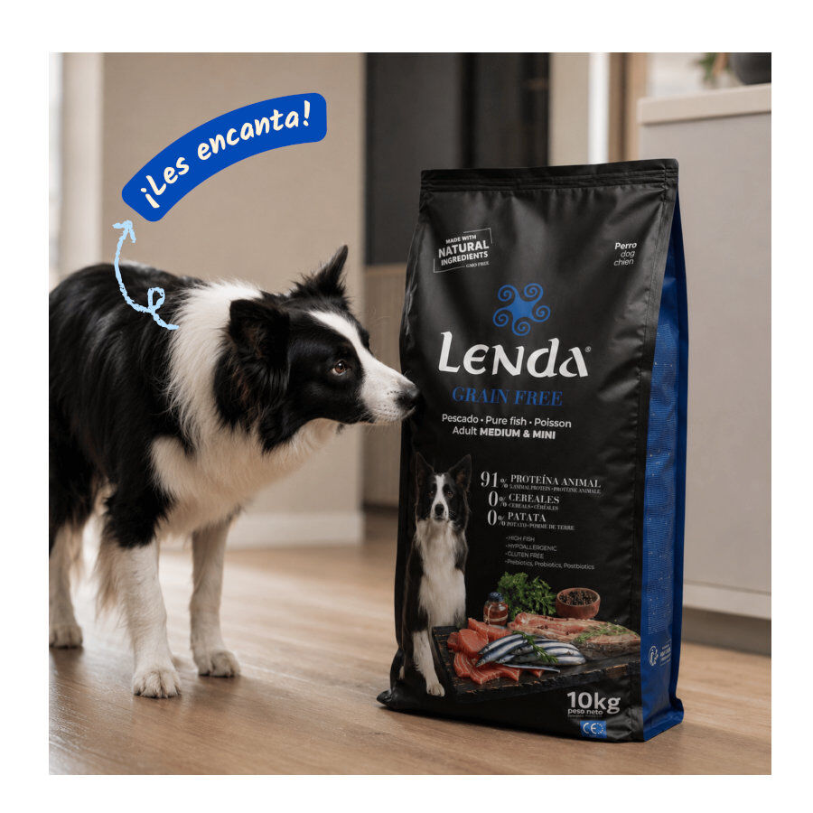 2 Kg Lenda Grain Free Pescado y Krill pienso para perros, , large Imagen numero 5