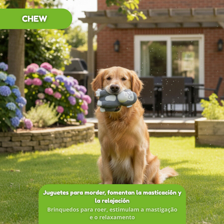 Tootoy! Gorila Mordedor con Sonido para perros, , large Imagen numero 5