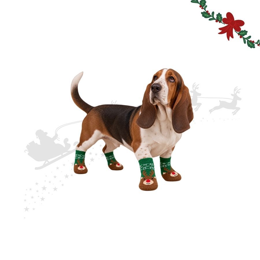 Wonder Christmas Calcetines Reno para perros, , large Imagen numero 1