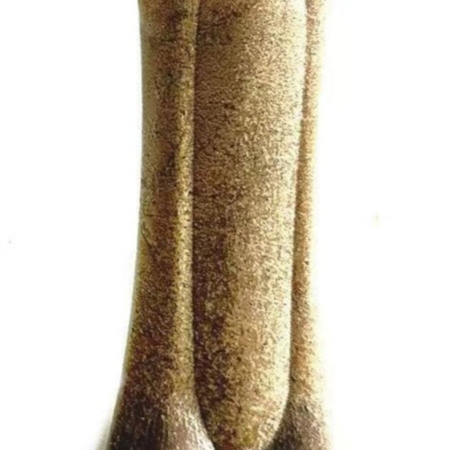 Tootoy! Chew Dental Bone Bacon mordedor para perros thumbnail