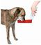 TRIXIE Bebedero Viaje con botella, 250 ml, Dog on Tour, Perro, , large indicador imagen numero 1