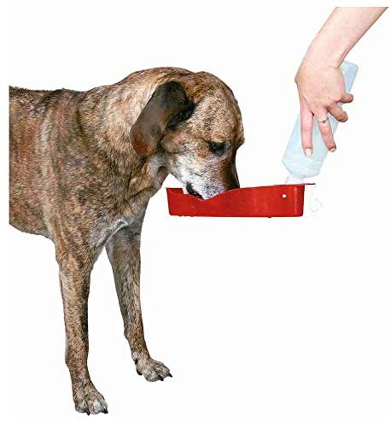 Trixie Dog On Tour Bebedero Viaje con Botella Roja para Perros thumbnail