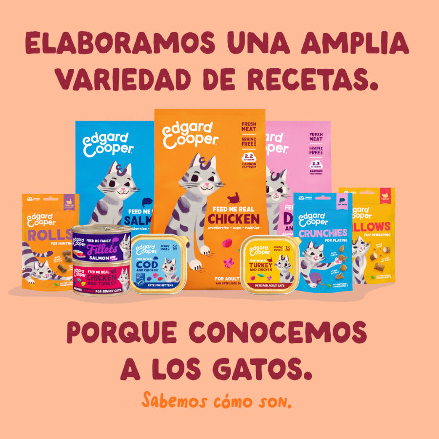 70 g Edgard & Cooper Filetes de Pollo Lata para gatos, , large Imagen numero 8