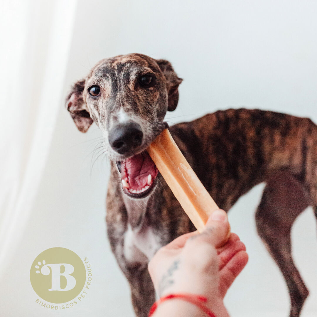 BIMORDISCOS Snack de Queso de vaca para perros. Tama&ntilde;o XL (110-140g), , large Imagen numero 4