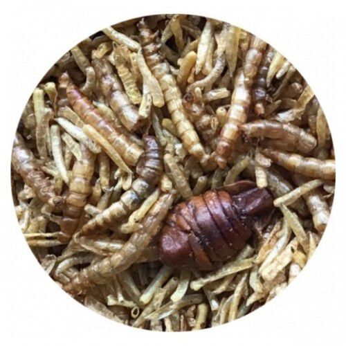 Mix Insectos deshidratados Natures Grub para petauros sabor Neutro, , large Imagen numero 1