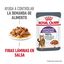 85 g Royal Canin Nutrition Appetite Control Care gelatina para gatos, , large indicador imagen numero 4