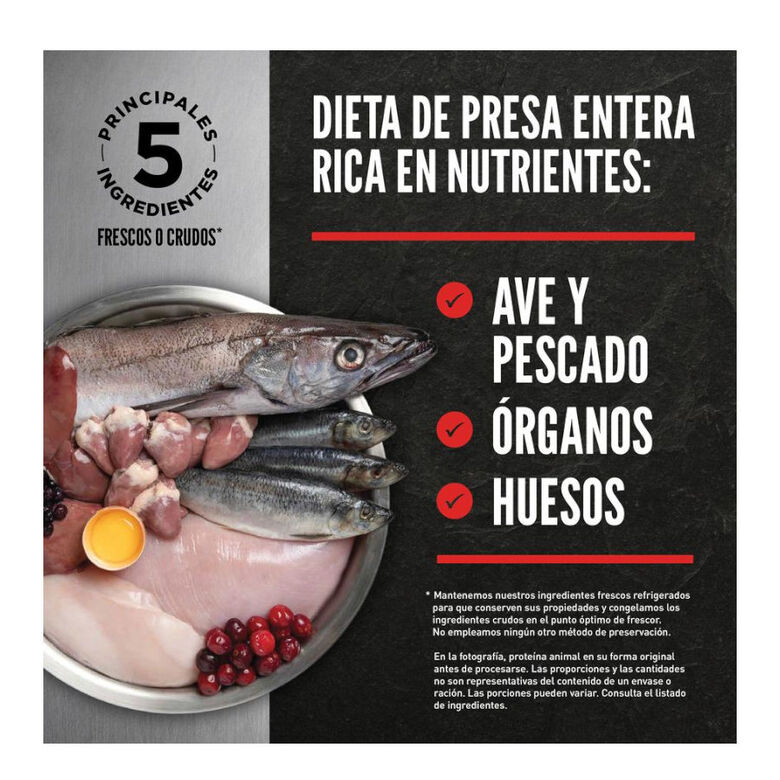 Orijen Six Fish pienso para perros thumbnail