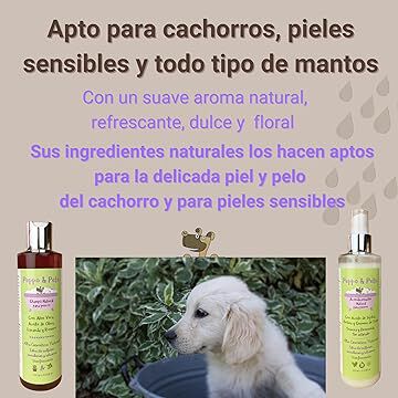 Peppo And Pets Pack Champú Y Spray Acondicionador Natural Para Perros thumbnail