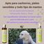Peppo and Pets- Pack Champú y Spray Acondicionador natural para perros, , large indicador imagen numero 5