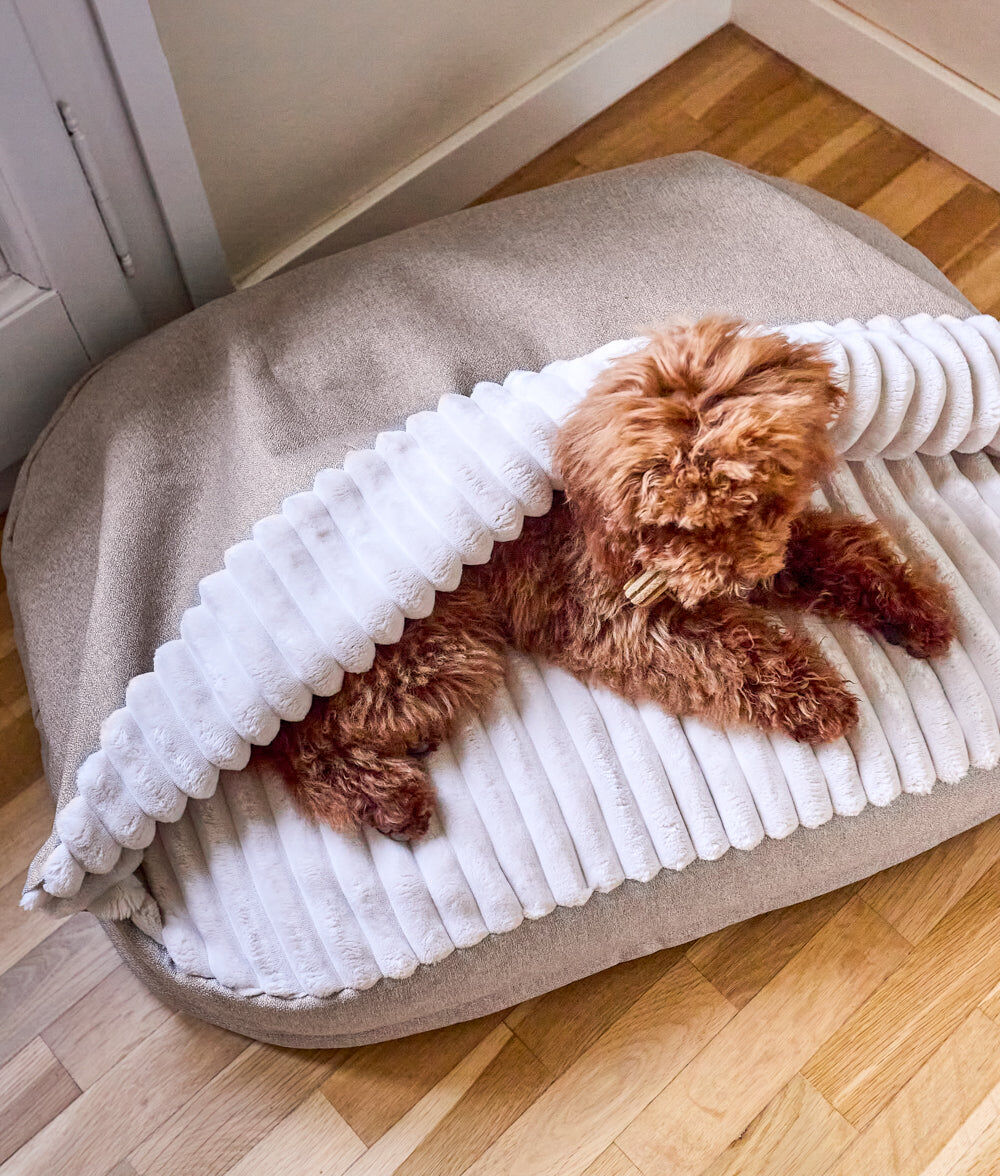 Cama Perro con Capucha Chenilla Beige, Maso, , large Imagen numero 2