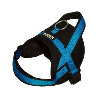 Neewa Utility Harness Arnés Azul para perros